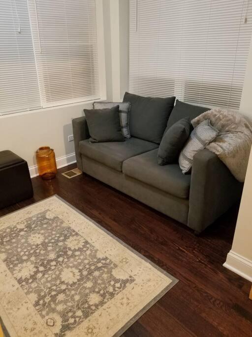 Nice And Cozy. Sleeps 5. Διαμέρισμα Σικάγο Εξωτερικό φωτογραφία